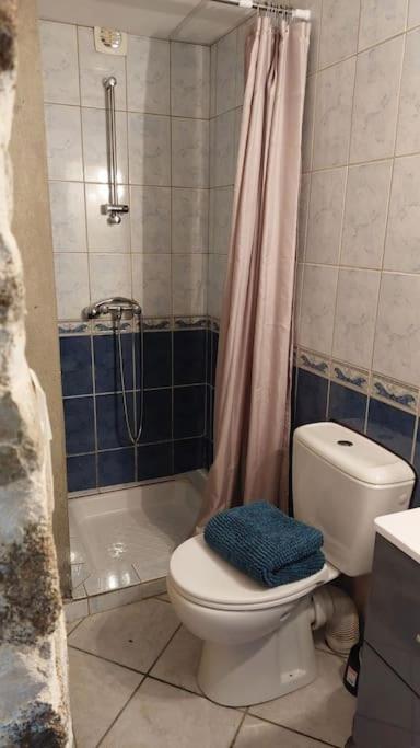 Maisonnette Chaleureuse De 35M2 Miremont  Eksteriør billede